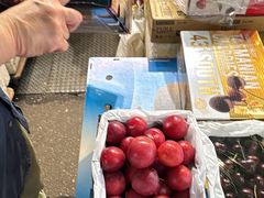 -油麻地果栏