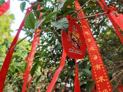 -长春观