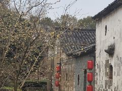 -清漾毛氏文化村