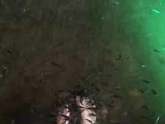 -宝丽金大酒店·洗浴中心