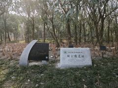 -上海吴淞炮台湾国家湿地公园