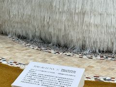 -深圳湾万象城(南山店)