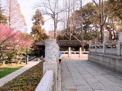 -红梅公园