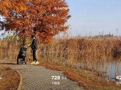 -泗洪洪泽湖湿地景区