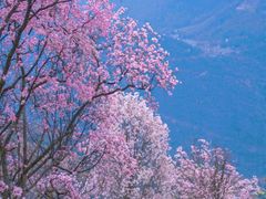 -九皇山景区