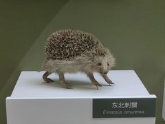 -国家自然博物馆