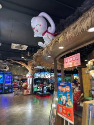 -卡通尼·Safari非洲探索乐园·生日会(金桥国际商业广场店)