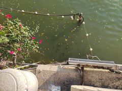 景点-惠州西湖