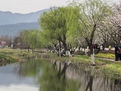 -长田漾湿地公园