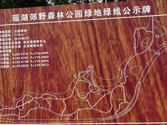 -瑶湖郊野森林公园