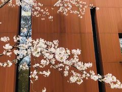 -中山公园