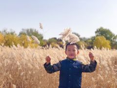 -绿堤公园