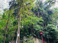 -全季酒店(广州越秀公园店)