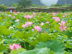 -英西峰林·洞天仙境