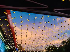 -龙巢盱眙龙虾·鸡煲·烧烤宵夜(坪洲店)