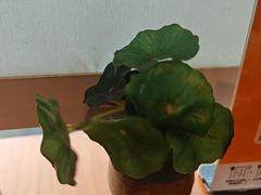 -莲餐厅·湖北菜·潜江小龙虾店(愚园路店)