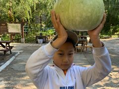 -北京龙庆四季香农家饭庄·灶台鱼·碳烤虹鳟鱼(龙庆峡店)