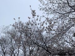 -徐家汇公园