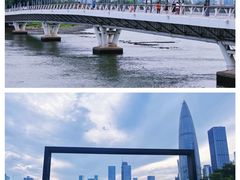 -深圳人才公园