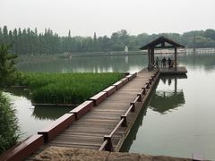 -圩墩遗址公园