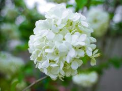 -大龙山(地铁站)