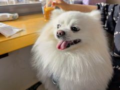 -小意思咖啡店(草桥店)