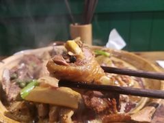 藤椒鸡肥肠煲-十六蒲(桂林路店)