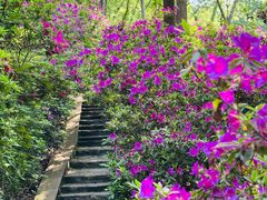 -南山风景名胜区