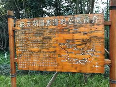 -重庆彩云湖湿地公园