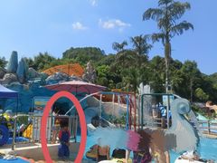 -重庆海昌加勒比海水世界