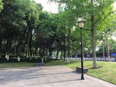 -重庆市江北嘴中央商务区中央公园