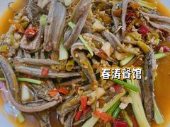 泡椒土鳝鱼-春涛餐馆(下坝店)