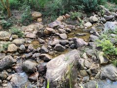 -广州白江湖森林公园