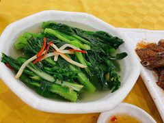 盐水菜心-姚林轩