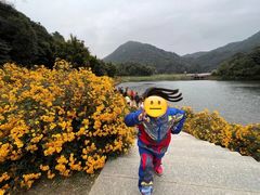 -广州市石门国家森林公园