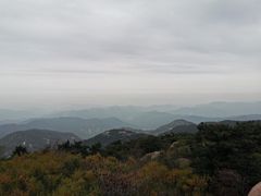 -鲁山国家森林公园