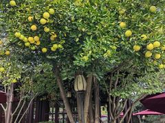 -杭州西子湖四季酒店·金沙厅