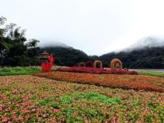 -广州市石门国家森林公园