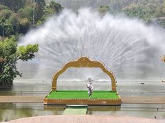 -西双版纳原始森林公园