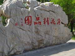 -微山湖红荷湿地景区