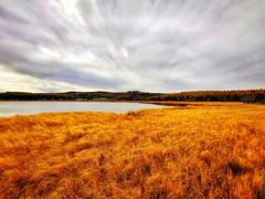 -塞罕坝国家级自然保护区