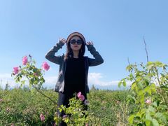 -天山神秘大峡谷