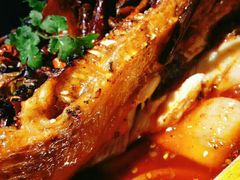 -锦尚阁烤鱼(望京新荟城店)