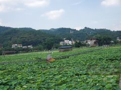 -红山村