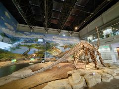 -自贡恐龙博物馆