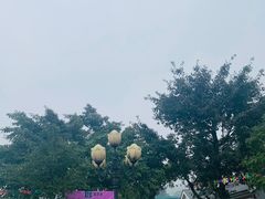 -铁山坪森林公园