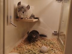 -龙猫仔乐园(惠福东路店)