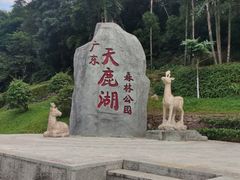 -天鹿湖森林公园