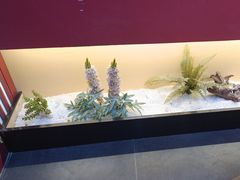 -豪气水浒烤肉(郑州总店)