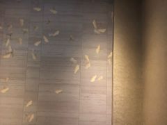 -大唐盲人按摩中心(怀宁路新粮仓店)